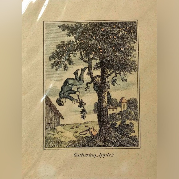 Antique Etchings Pair of Provincial Farm and Family Life 6” X 4.75” Humorous NIP - Picture 2 of 9